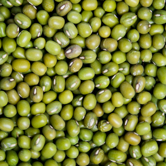 Exploring the Mung Bean Scene