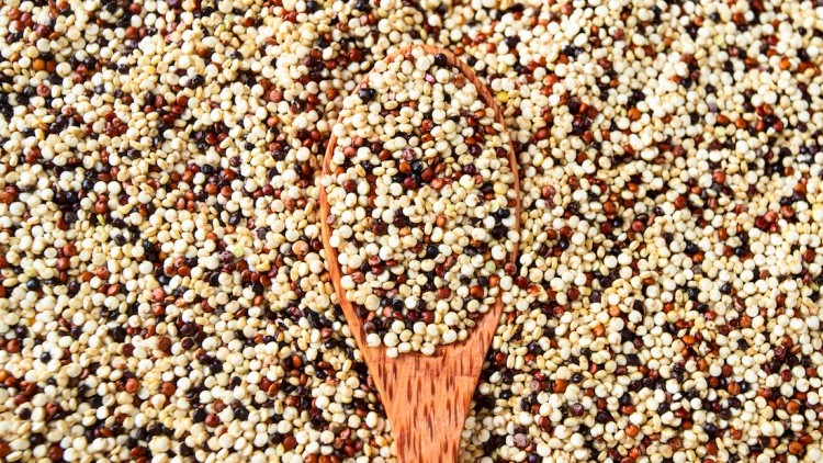 Various colours for sorghum grain