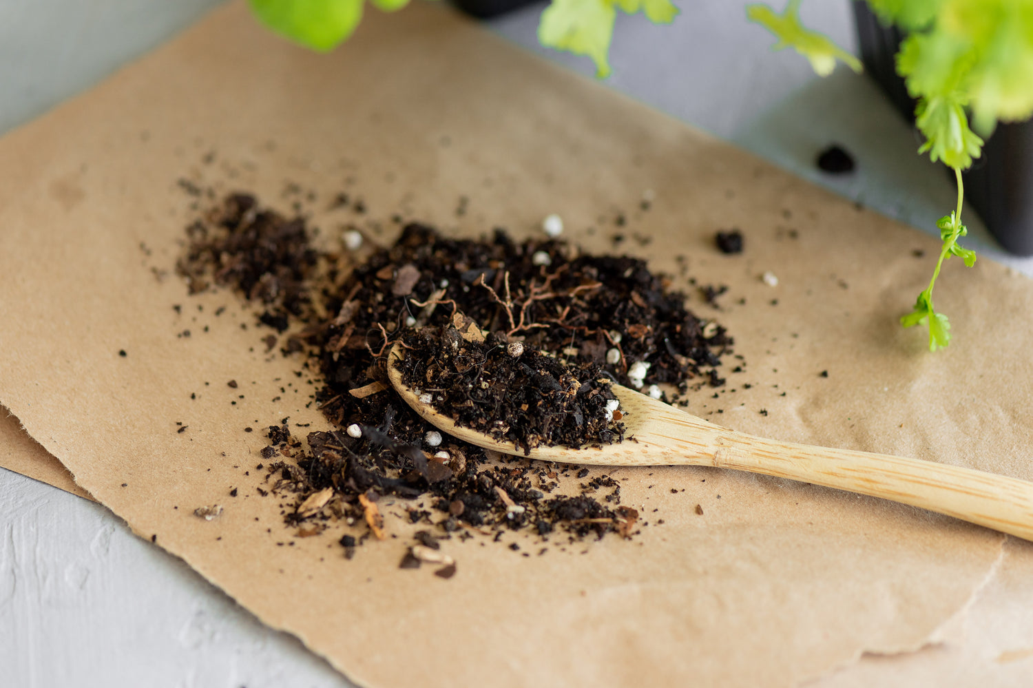 Composting 101 Remix Snacks