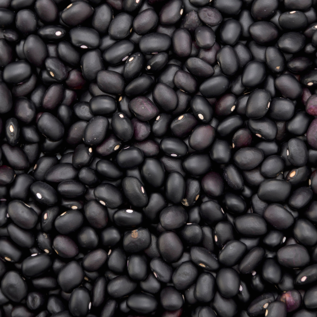 raw dried black beans